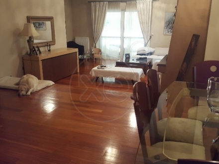 Μονοκατοικία Δροσιά 330τ.μ.