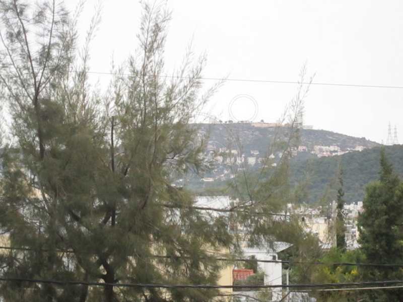 205756_160669_d.jpg