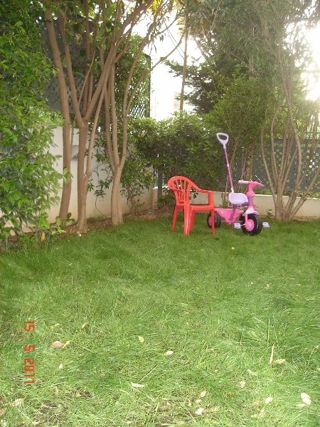 Image39.jpg