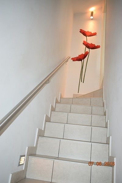 Image50.JPG