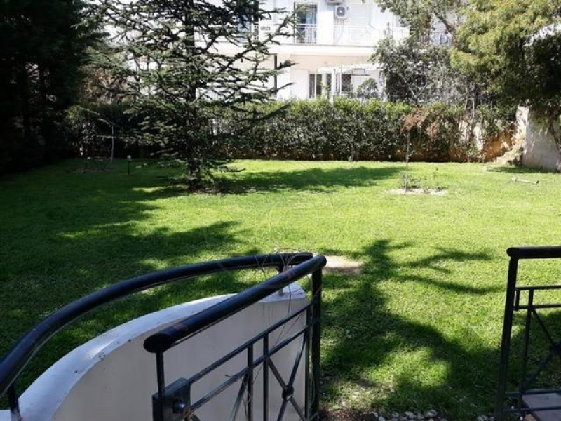 203748_027739_d.jpg