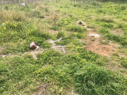 Οικόπεδο Κηφισιά 1.600τ.μ.